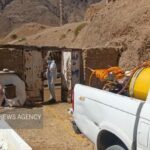 شریعتی: خدمات جهادی دامپزشکی در مناطق کم‌برخوردار ادامه دارد