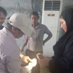 مدیرکل دفتر میگو و آبزیان شیلات: زیرساخت‌های آبزی پروری توسعه می‌یابد