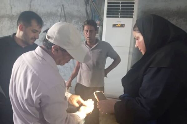 مدیرکل دفتر میگو و آبزیان شیلات: زیرساخت‌های آبزی پروری توسعه می‌یابد