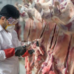 تولید بیش از ۲۵ هزار تن گوشت قرمز در خراسان رضوی