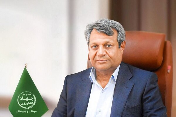 خرمای سیستان و بلوچستان؛ ظرفیت راهبردی کشاورزی، اشتغال و توسعه صادرات