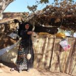 عشایر میان کوچ و بروکراسی؛ قوانین دست‌وپاگیر بر سر راه زندگی