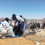 واکسیناسیون رایگان تب برفکی در مازندران؛ کمبود واکسن وجود ندارد
