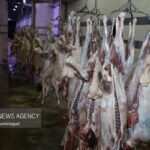 کشف و توقیف گوشت غیر بهداشتی در البرز؛ تکذیب گوشت الاغ بودن محموله