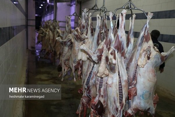 کشف و توقیف گوشت غیر بهداشتی در البرز؛ تکذیب گوشت الاغ بودن محموله