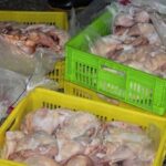 ۲۶۰۰ کیلوگرم فرآورده طیور غیرقابل مصرف در سنقر ضبط شد