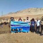 اردوی جهادی دامپزشکی به یاری عشایر دالاهو رفت