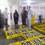 پرداخت ۱۵ میلیارد ریال تسهیلات به ۲ کارگاه روستایی بروجرد