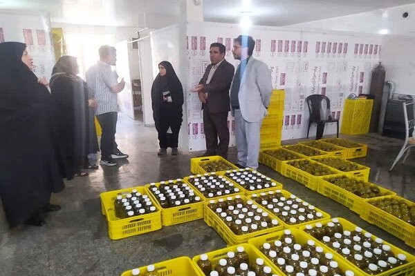 پرداخت ۱۵ میلیارد ریال تسهیلات به ۲ کارگاه روستایی بروجرد